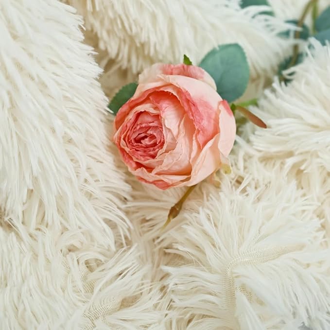 Plush Super Soft Blanket Bedding Sofa Cover Furry Fuzzy Fur Warm Throw Qulit Cozy Couch Blanket for Winter (51"x63", Cream)