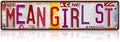 Vintage Mean Girl St Wall Decor Street Signs Pink Room Metal Tin Signs Gife for Women Girl 16 x 4 Inches