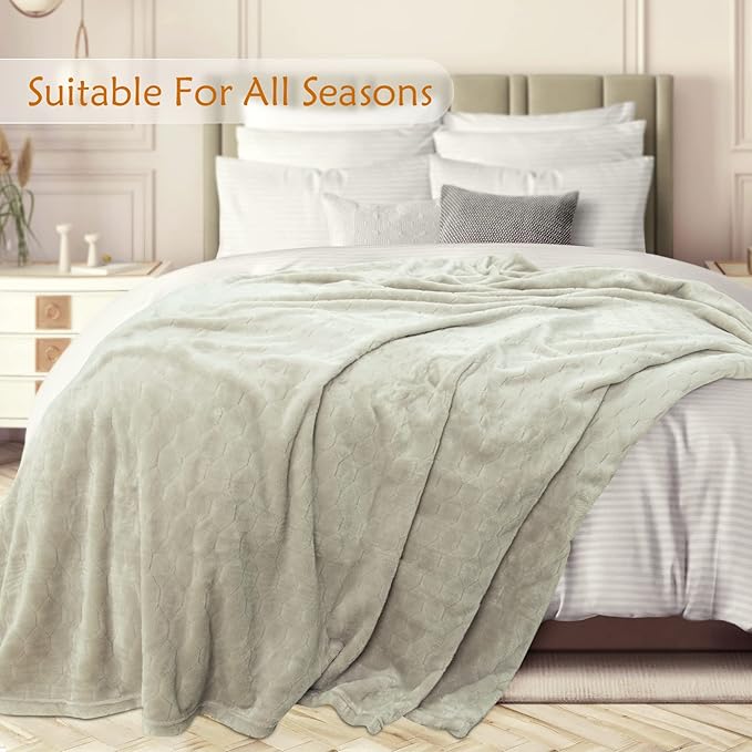 TOONOW Fleece Blanket Textured Fuzzy Plush Throw Blanket Twin Size 60" x 80", Super Soft Fluffy Bed Blanket Geometric Pattern Comfy Microfiber Flannel Blankets for Couch, Bed, Sofa, Pumice Stone