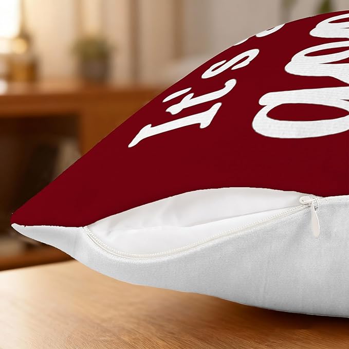 Hexagram Spring Summer Pillow Covers 18x18 Set of 4, Outdoor Floral Daisy Decorative Burgundy Throw Pillow Covers, You are My Sunshine Farmhouse Cushion Case for Couch Sofa Indoor Decor(No Insert)