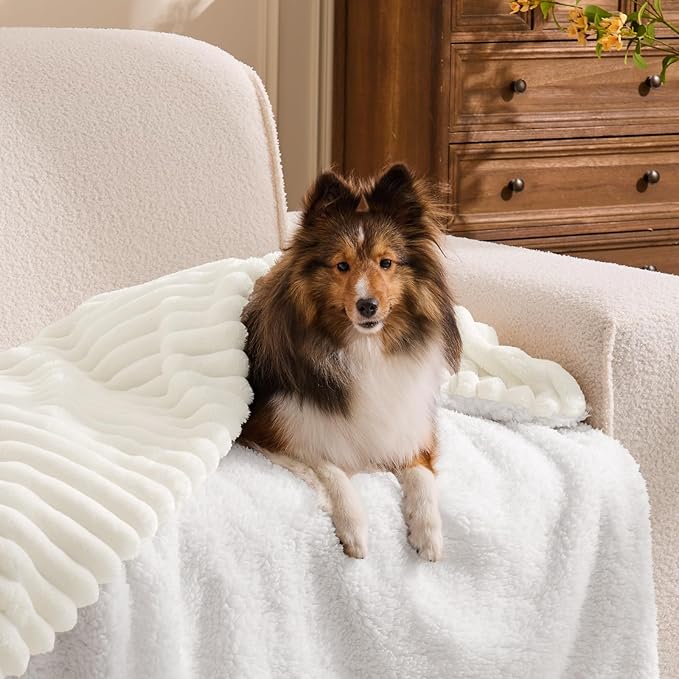 INFIIXSO Sherpa Throw Blanket for Couch - Super Soft & Warm Striped Fleece Blanket, Cozy Plush Fluffy Blanket All Season Use (Cream, 60x80 Inches)
