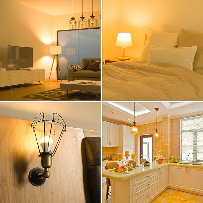 100W Equivalent Bright LED Light Bulbs, Warm White 2700K A19 Lightbulbs, Focos LED para Casa, for Kitchen Bedroom Indoor Outdoor, 1500 Lumens, E26 Standard Base, Non-Dimmable, 4-Pack