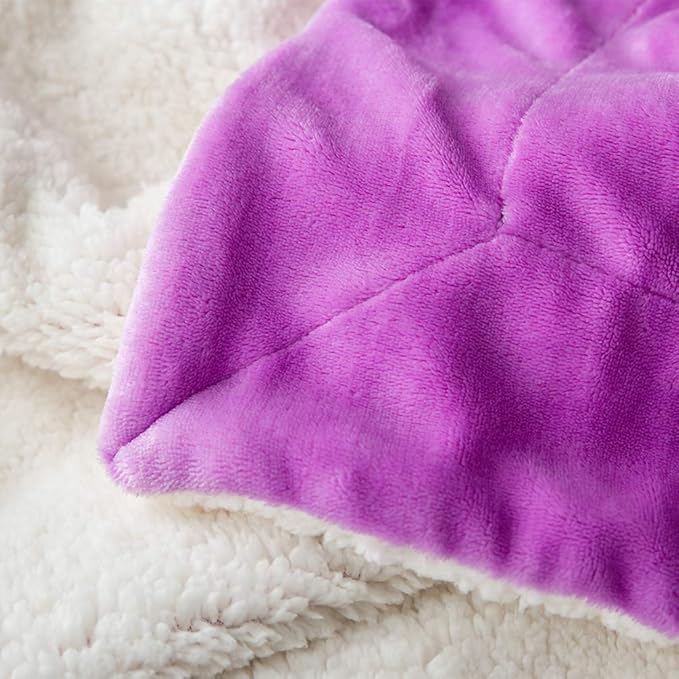 LBRO2M Sherpa Fleece Bed Blanket King Size Super Soft Fuzzy Plush Warm Cozy Fluffy Microfiber Couch Throw Velvet Double Reversible Luxurious Blankets,Purple