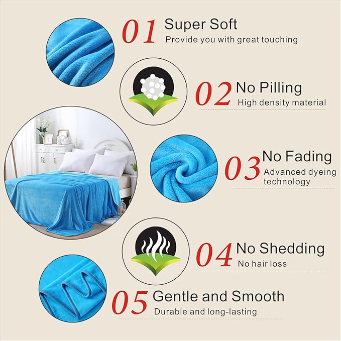 Polar Fleece Blankets Queen Size Light Blue for The Bed Extra Soft Brush Fabric Super Warm Sofa Blanket 90" x 90"(Lake Blue Queen)