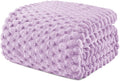 Exclusivo Mezcla Fleece Twin Blanket for Bed, Extra Large Fuzzy Lilac Purple Bed Blankets, Soft Cozy Plush Sofa Throws for All Seasons, 60x80 Inches