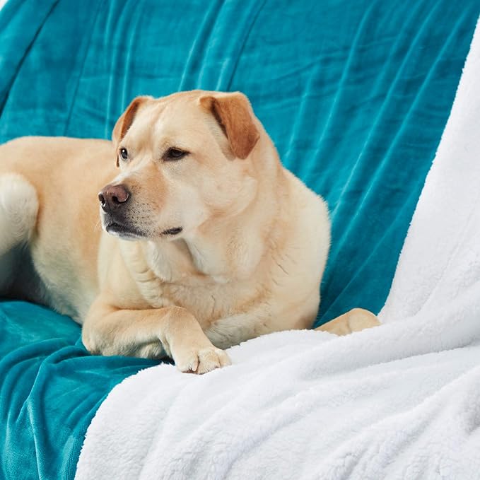 Genteele Sherpa Throw Blanket Super Soft Reversible Ultra Luxurious Plush Blanket, 90 x 90 inches, Teal/White