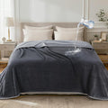 LOOBANI Waterproof Blanket for Bed: Reversible Leakproof Full/Queen Bed Blankets 80" x 90", Soft Flannel & Coral Fleece Bed Blanket Water Resistant for Couch Sofa Cover, Movie Time, Camping, Grey