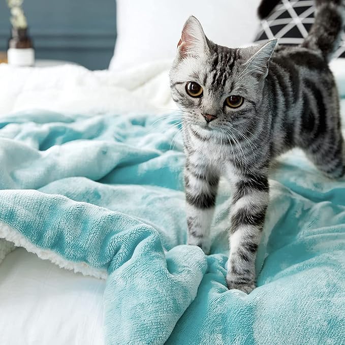 LBRO2M Sherpa Fleece Bed Blanket Queen Size,Super Soft Fuzzy Plush Warm Cozy Fluffy Microfiber Couch Throw Velvet Double Reversible Luxurious Blankets (Turquoise,Queen(90x90 Inches))
