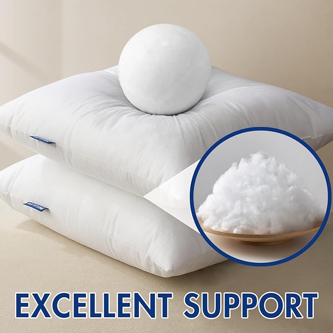 MIULEE Pillow Insert 21x21 Inch, Decorative Square Throw Pillow Inserts, Premium Fluffy Pillow Forms Sham Stuffer for Sofa Couch Living Room