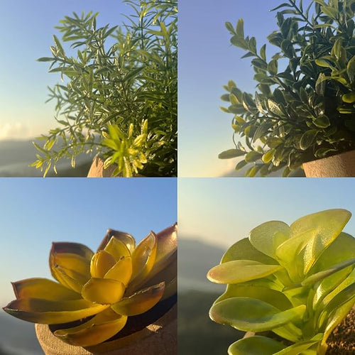 4 Pack Small Fake Plants in Pot for Home Decor, Artificial Plants Indoor, Small Faux Succulents Plants Indoor for Bathroom Bedroom Kitchen Office Farmhouse Room Shelf Decor