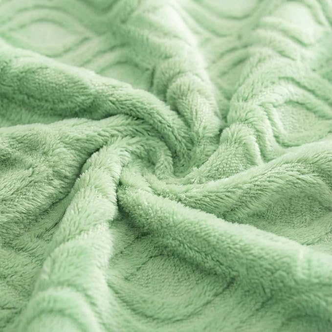 Horaldaily Solid Blanket Throw, Green Accent Farmhouse Neutral Square Euro Soft Fuzzy Plush Faux Fur Cozy Blankets for Couch Sofa Bed Lounging, Ideal Gifts for Kids Adults Wife Self, 50x60