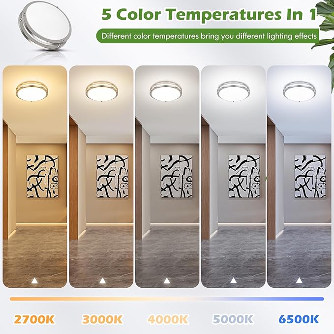 GoBright 2-Pack 10 Inch Bathroom Light Fixtures Ceiling Mount, 30W 3200lm Super Bright LED 2700K/3000K/4000K/5000K/6500K Adjustable Dimmable Kitchen Hall Ceiling Lamps, Brushed Nickle