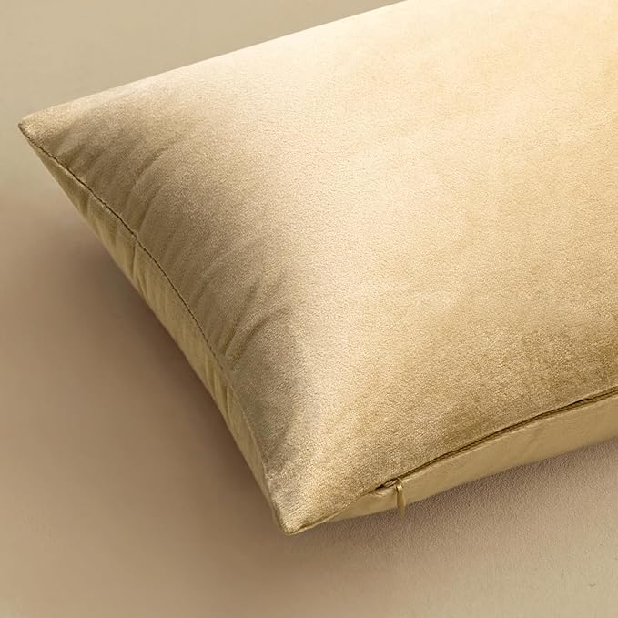MIULEE Velvet Throw Pillow Covers 18x18 Inch, Pack of 2 -Beige, Soft Solid Decorative Pillow Covers Square Cushion Cases Farmhouse Modern Home Decor for Spring Couch Sofa Bedroom Living Room