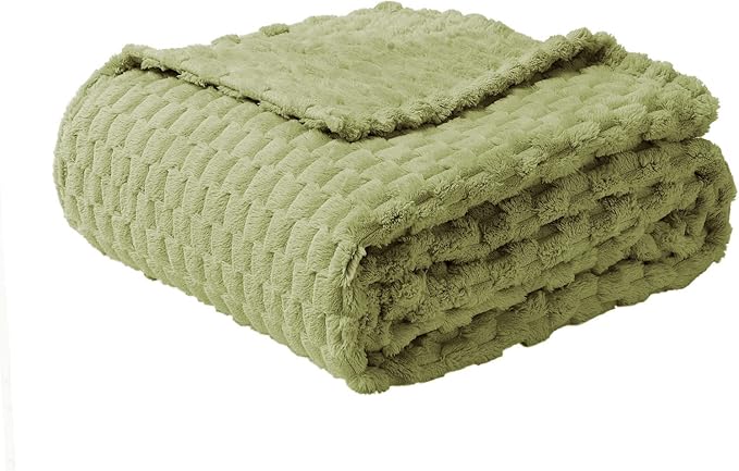 FY FIBER HOUSE Fleece Blanket Twin Size for Couch 300GSM Super Soft Plush Fuzzy Blankets and Throws for Sofa Bed Office, 60x80 Inches, Sage Green