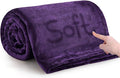 MOONLIGHT20015 Fleece Blanket Queen Size - Super Soft Fuzzy Purple Throw Blanket for Couch and Sofa - Lightweight Luxury 400 GSM Microfiber Fluffy Bed Blankets and Throws, 90 x 90 Inches (Queen)
