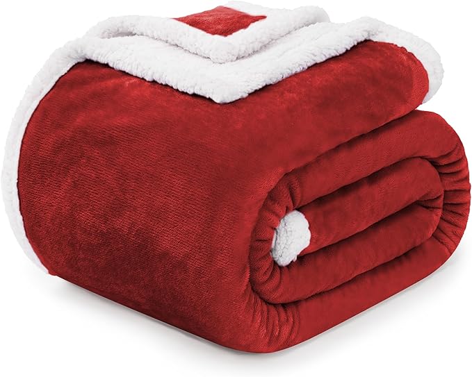 BEAUTEX Sherpa Fleece Throw Blanket Twin Size for Couch - Thick and Warm Blanket for Winter, Fluffy Flannel Plush Twin Blanket, Fuzzy Wine Cuddle Blankets for Couch Bed Sofa (60" x 80", Wine)