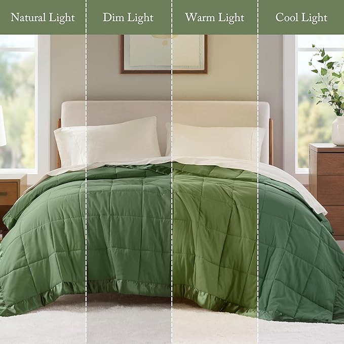 Madison Park Queen Blanket Quilted Microfiber, Satin Binding, 3M Scotchgard Moisture Wicking, Soft and Lightweight Summer Blanket for Couch, Windom, Full/Queen, Green