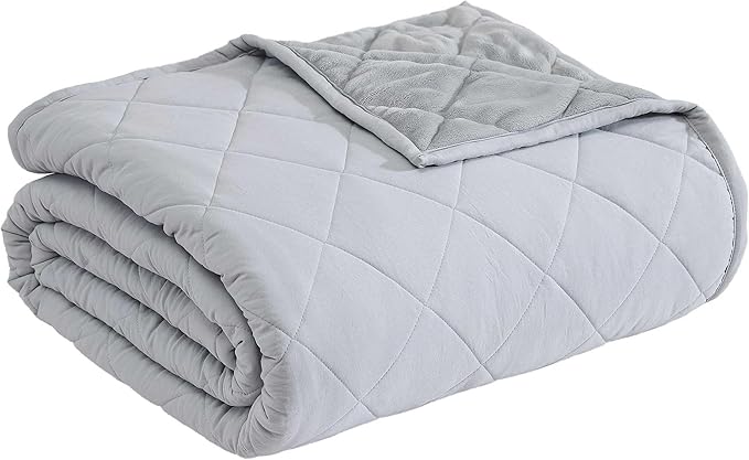 Eddie Bauer - Queen Size Blanket, Soft & Reversible Plush Bed Blanket, Brushed for Extra Softness with a Plush Smooth Texture, Throw Blanket for Couch or Bed (Classic Solid Grey)