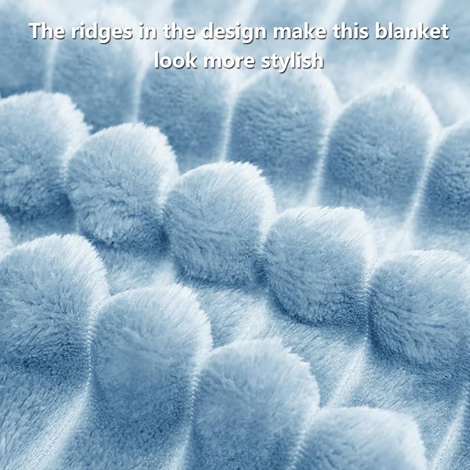 Soft Light Blue Twin Blanket for Bed - Cozy Fleece Blanket for Men, Cute Lightweight Bed Blankets Graduation Birthday Gifts for Her Him, Spring Home School Dorm Decor, Light Blue, 60x80 Inches
