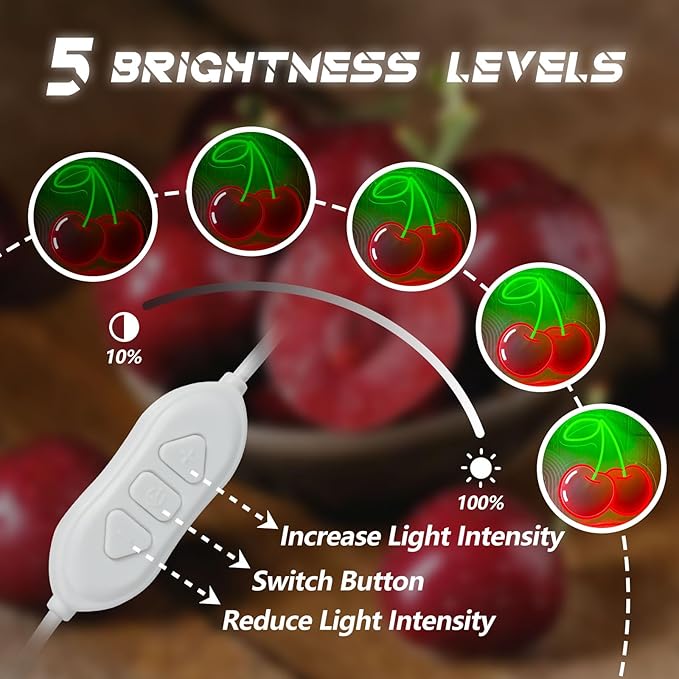 Cherry Neon Sign for Wall Decor, Dimmable Red Printed Cherries Neon Lights, Vibrant Fruit Themed Neons LED Signs for Kids Room, Bedroom, Restaurant, Bar, Club, Fruit Shop, Birthday Party (Cherry)