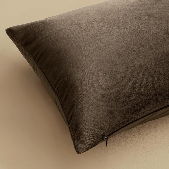 MIULEE Velvet Throw Pillow Covers 18x18 Inch, Pack of 2 - Coffee, Super Soft Decorative Square Cushion Cases Modern Luxury Home Decor for Sofa,Couch,Bed,Chair