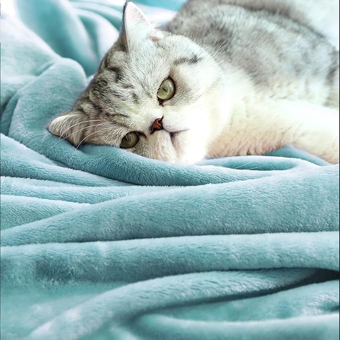 TASTHROW Bluishgreen Throw Blanket 60x80 Inches, Soft Plush Cozy Fleece Flannel Throw Blanket, Lightweight Warm Throws for Bed, Couch, Bedroom and Living Room, All Seasons