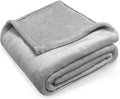 Lukeight Fleece Throw Blanket, Luxury Cozy Fuzzy Lightweight Soft Blankets for Sofa Couch Bed Car Travel and Camping (Light Grey, 50x60 Inches)