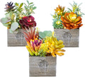 Mingfuxin Succulents Plants Artificial, Small Faux Plants with Lights, Assorted Decorative Fake Succulent Potted for Office Desk Bathroom Bedroom Shelves Windows Room Decor