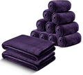 IR Imperial Rooms Fleece Blanket 12 Pack Twin Size 60x80 Inches - Super Soft Fluffy Throw Blanket for Sofa and Bed - Warm and Cozy Lightweight 400 GSM Microfiber Bed Throws Blankets (Twin, Purple)