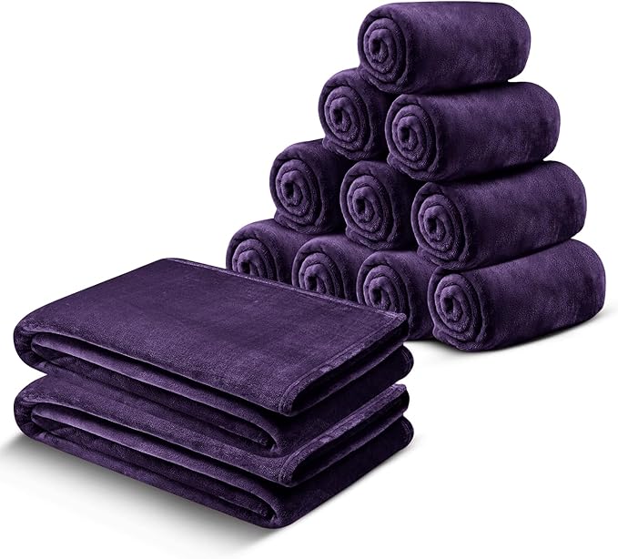 IR Imperial Rooms Fleece Blanket 12 Pack Twin Size 60x80 Inches - Super Soft Fluffy Throw Blanket for Sofa and Bed - Warm and Cozy Lightweight 400 GSM Microfiber Bed Throws Blankets (Twin, Purple)