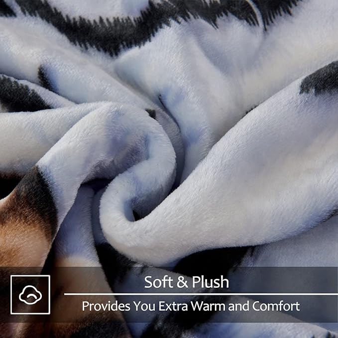JYK Korean Mink Fleece Blanket Queen Size 75"x 87", 5 LB - 2 Ply Reversible 520GSM Silky Soft Plush Warm Flannel Blanket for Fall Winter (Queen, Tiger/Leopard)