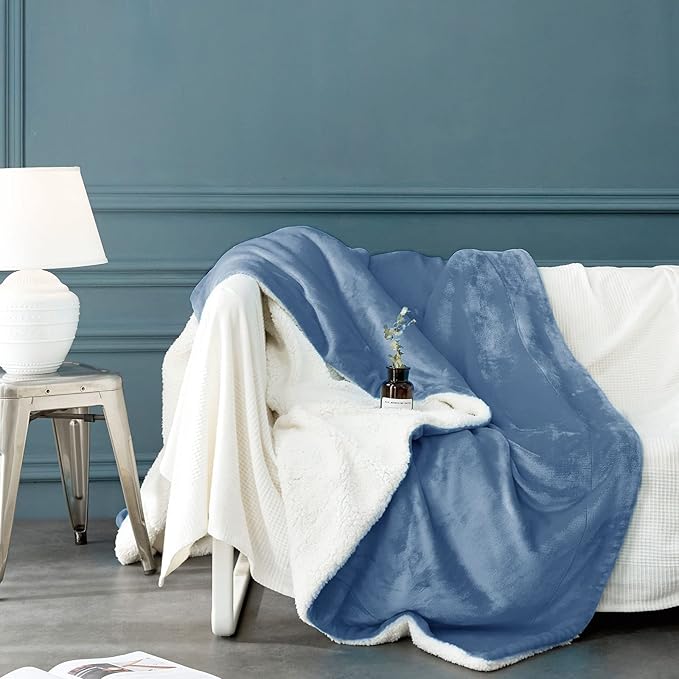 LBRO2M Sherpa Fleece Bed Blanket Twin Size,Super Soft Fuzzy Plush Warm Cozy Fluffy Microfiber Couch Throw Velvet Double Reversible Luxurious Blankets (Light Blue,Twin(65x90 Inches))