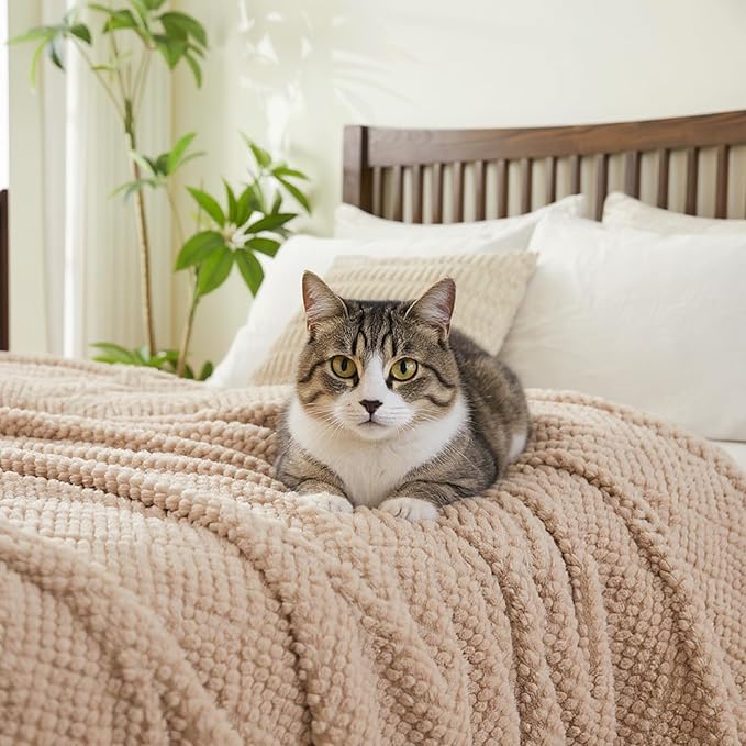 EMME Fleece Blanket, 3D Jacquard Throw Blanket for Couch and Bed, Soft Cozy and Fluffy Blankets Lightweight Luxury Flannel with Waffle Design (Beige, 60" x 80")