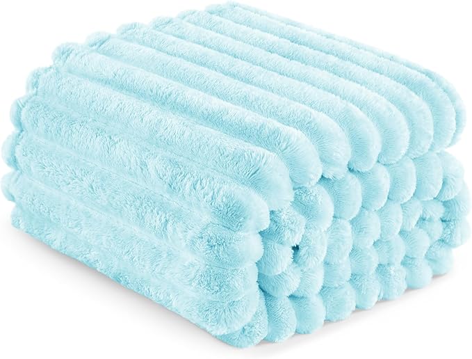 Exclusivo Mezcla Queen Size Flannel Fleece Blanket, Super Soft Striped Jacquard Bed Blanket, Lightweight Fuzzy Cozy for All Seasons, 90x90 Inches, Light Blue