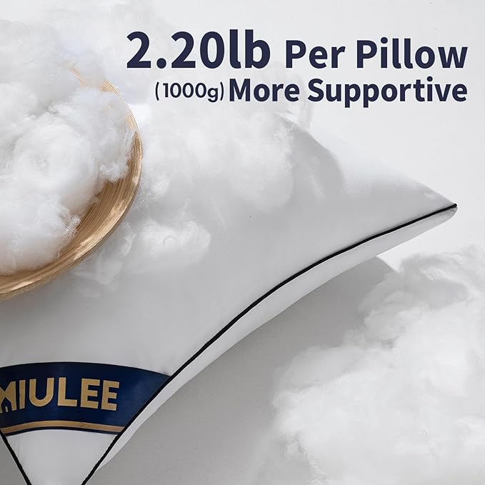MIULEE 22x22 Pillow Insert Throw Pillow Premium Down Alternative Pillow Insert Square Decorative Pillow Stuffer for Sofa, Couch (22x22 inch)