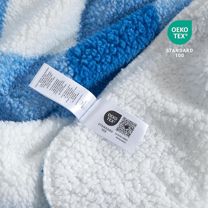 Cozy Bliss Luxury Sherpa Throw Blanket for Couch, Premium Reversible Buffalo Plaid Thick Throw, Warm Cozy Soft Blanket for Home and Gifts (Light Blue, 60" x 80")