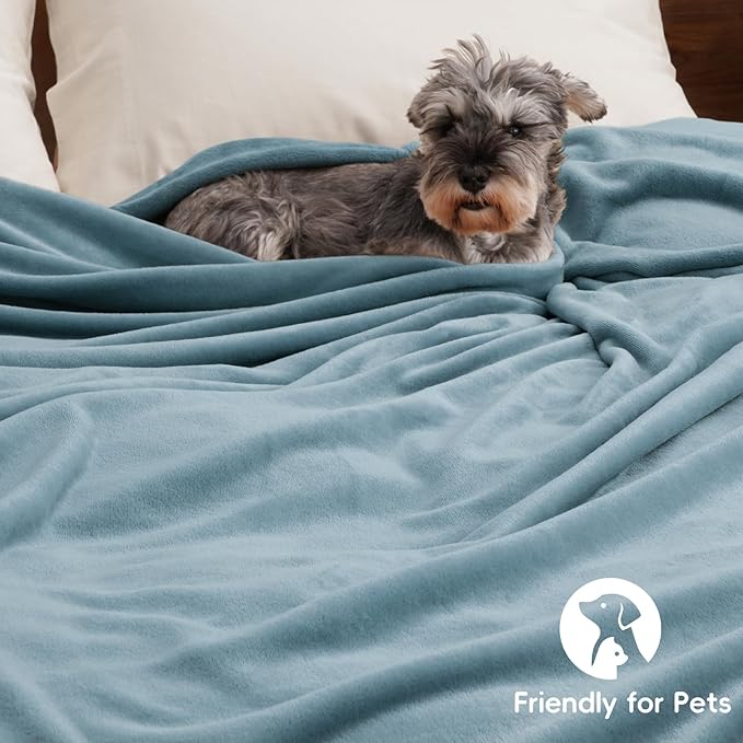 PHF Ultra Soft Fleece Blanket Twin Size, No Shed No Pilling Luxury Plush Cozy 300GSM Lightweight Blanket for Bed, Couch, Chair, Sofa, Perfect Decorations Gifts, 66" x 90", Dusty Blue