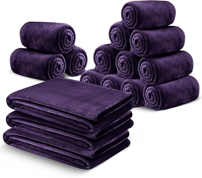MOONLIGHT20015 Fleece Blanket 16 Pack - Soft Fluffy Purple Throw Blanket for Couch & Sofa - Lightweight Luxury 400 GSM Microfiber Fuzzy Bed Blankets and Throws (50 x 60 Inches, Throw/Travel)