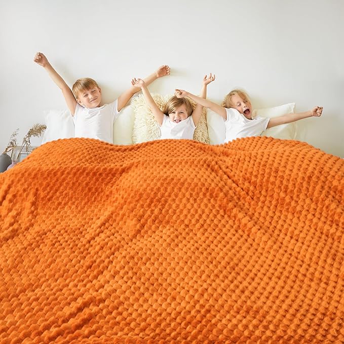 Vessia Flannel Fleece Queen Size Bed Blanket(90x90 inch), 3D Jacquard Burnt Orange Fuzzy and Warm Blanket for Adults, 300GSM Super Soft Touch Cozy Lightweight Home Decor for All-Season