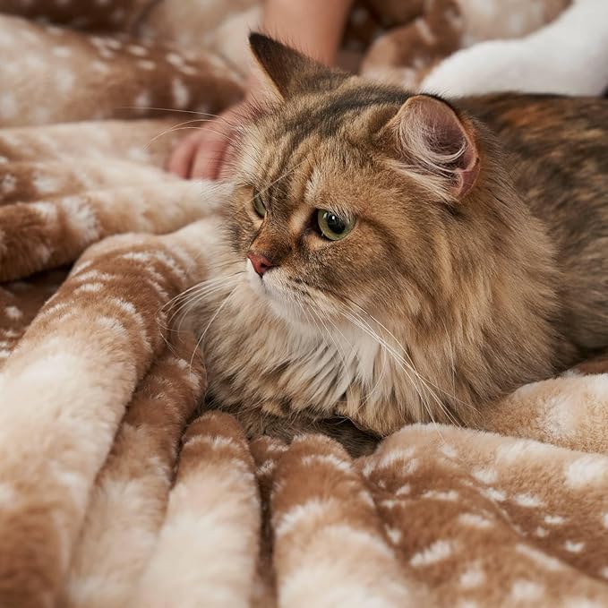 Cozy Bliss Luxury Faux Fur Throw Blanket Animal Striped Print, Non Shedding Double Sided Sherpa Blankets Super Soft Fluffy Thick Warm Throws Home Decor for Couch Bed Sofa Women (Brown, 50x60 Inches)