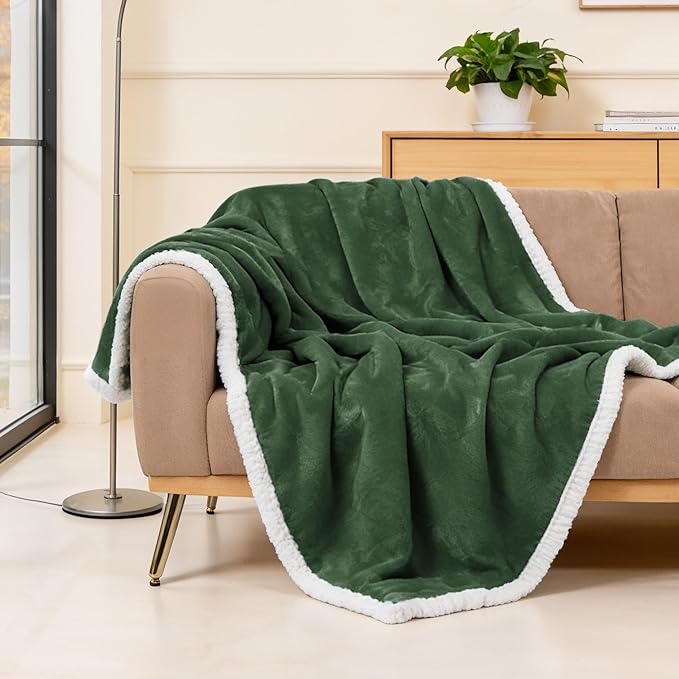 BEAUTEX Sherpa Fleece Throw Blankets, Soft Fluffy Flannel Plush Blanket and Throw, Fuzzy Cozy Green Cuddle Blankets for Couch Bed Sofa Adults (50" x 60", SageGreen)