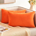 Fall Orange Throw Pillow Covers Decorative Velvet Set of 2 12x20 Inch Pillow Covers, Burnt Orange Lumbar Pillowcases for Couch Sofa Bed Living Room, Farmhouse Boho Decor, Accent Cushion Cover