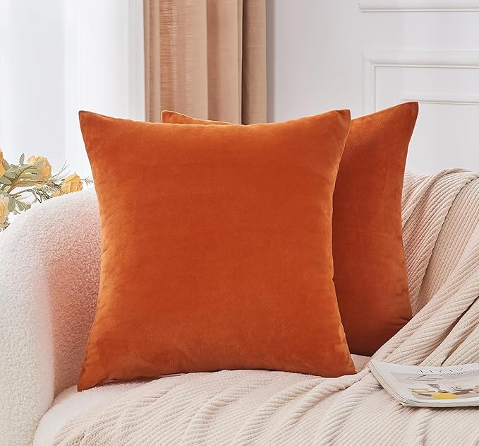 Throw Pillow Covers Burnt Orange Set of 2 16x16 Inch Fall Pillow Covers, Soft Velvet Farmhouse Neutral Decorative Pillowcases for Couch Sofa Bed, Home Boho Decor, Modern Cushion Covers