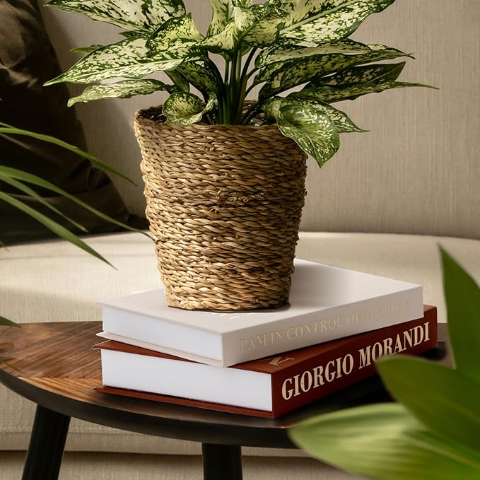 Decorative Books - Modern Faux Decor Book for Decoration, Fake Books Storage Box Enhance Your Coffee Table, Entryway, Dining Room, Bedside Decor, Faux Book for Decorative Keepsake Box & Photo Storage