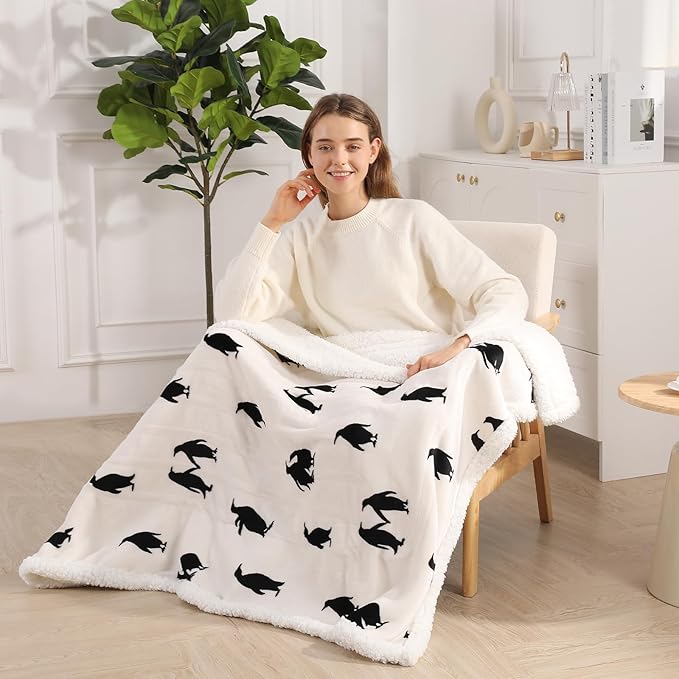 Cute Heated Blanket Queen Size Electric Blanket 84"x90" Dual Controllers to Adjust Heating Levels Heating Blanket Queen with 5 Heating Levels & 10 Hrs Auto-off, Machine Washable, Great Birthday Gift