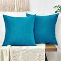 Throw Pillow Covers Decorative Velvet Set of 2 20x20 Inch Pillow Covers, Soft Teal Pillowcases for Couch Sofa Bed Living Room, Farmhouse Home Boho Decor, Square Accent Cushion Covers