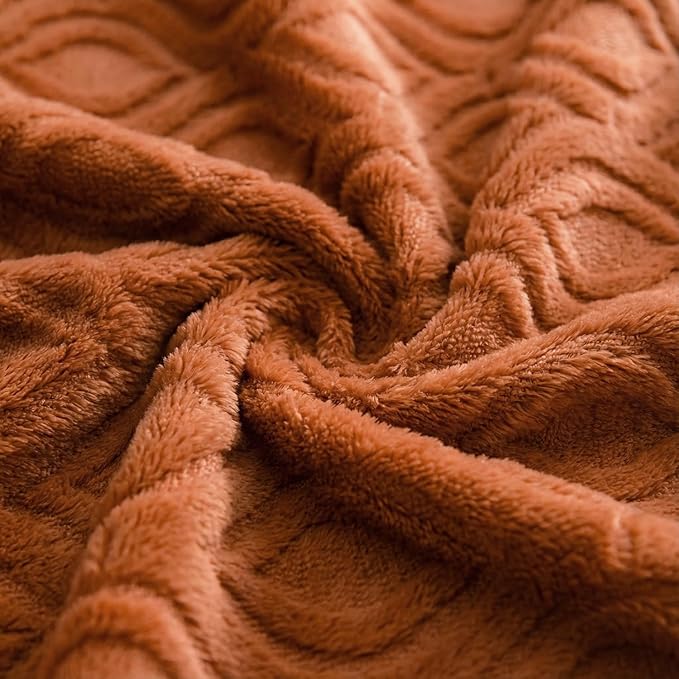Horaldaily Solid Blanket Throw, Rust Accent Farmhouse Neutral Square Euro Soft Fuzzy Plush Faux Fur Cozy Blankets for Couch Sofa Bed Lounging, Ideal Gifts for Kids Adults Wife Self, 50x60