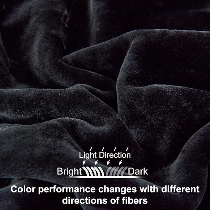 JYK Fleece Plush Blanket - 3.5 LB, 1 Ply Lightweight Korean Style Mink Blanket, Queen 79" x 91" - Super Soft, Warm & Cozy, Microfiber Bed Blanket for All Seasons, Black
