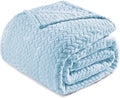 Exclusivo Mezcla Fleece Twin Size Blanket for Bed, 60x80 Inches Soft Cozy Jacquard Flannel Blankets, Lightweight Fuzzy Plush Warm for Women, Light Blue