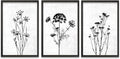 TQianJiang Flower Plant Wall Decor 24"x16" Black And White Botanical Painting Wood Framed Set of 3 Bedroom Office Abstract Wildflower Sign Hanging Art (Black)